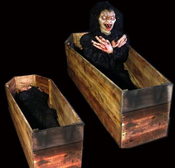 Vampire Coffin - VC703