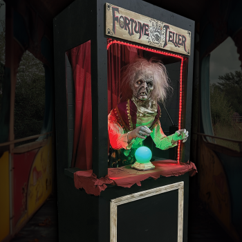 The Fortune Teller - FT806