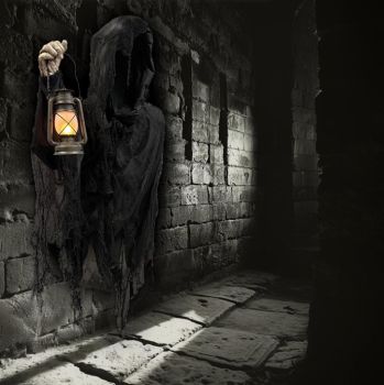 Wall Reaper - Electric Prop